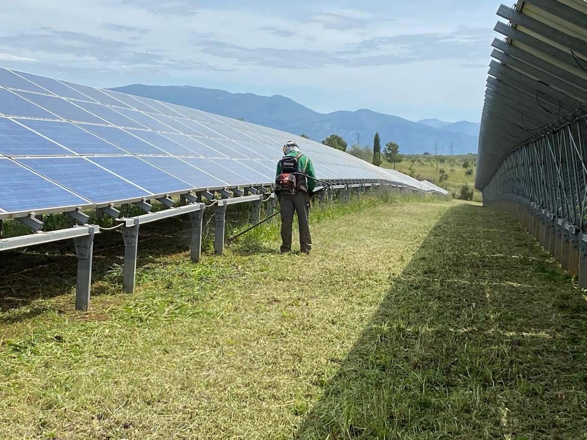 Operatore con decespugliatore lungo le file di moduli fotovoltaici