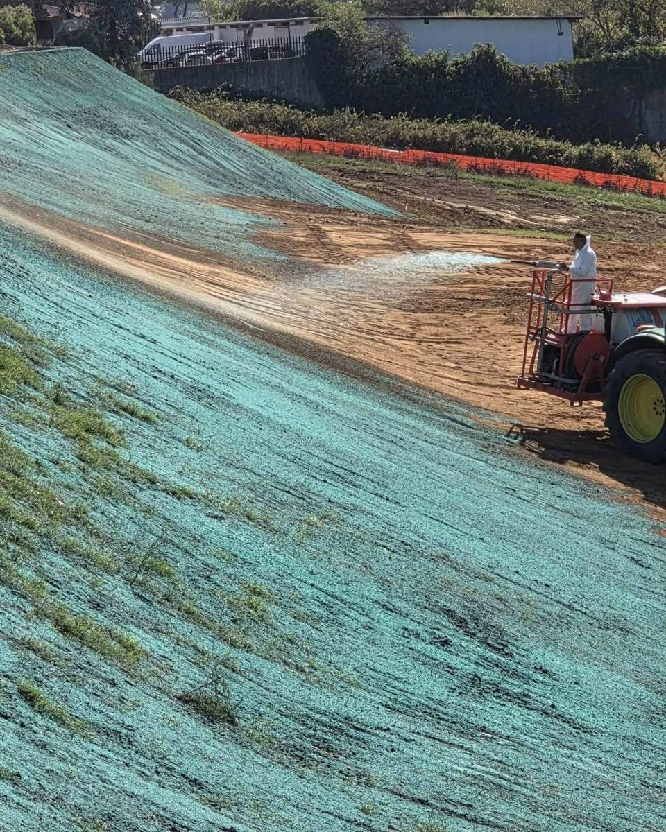 Scarpata appena idroseminata con la miscela verde di sementi